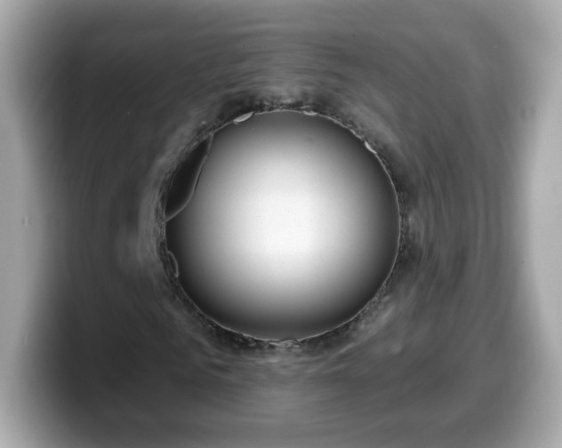 X0000099560961200805231509