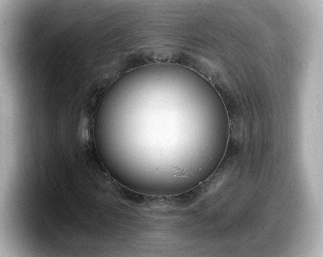 X0000099560962200805231509