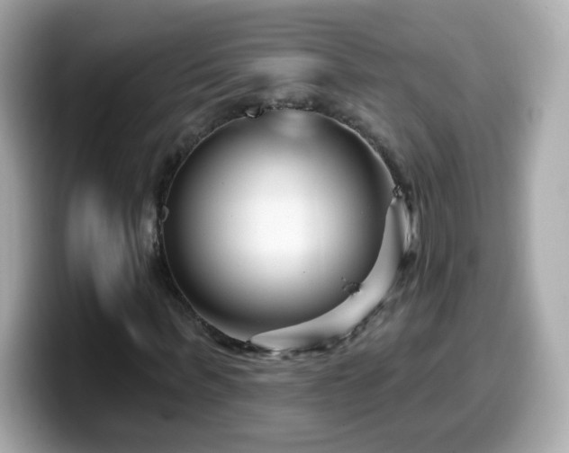 X0000099560963200805231509