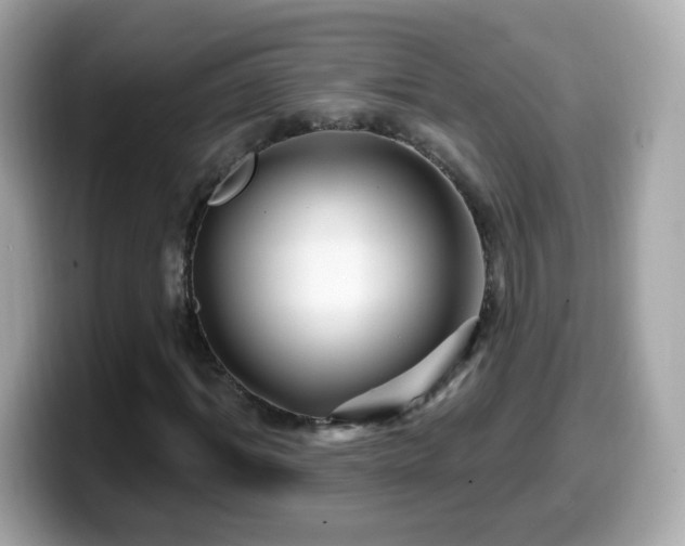 X0000099560964200805231509