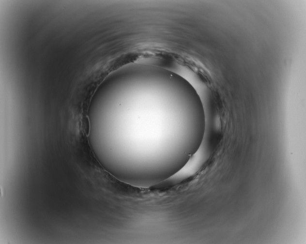 X0000099560965200805231509