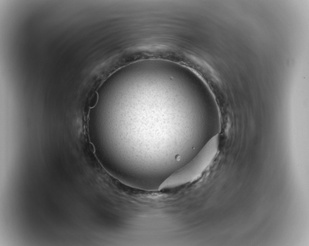 X0000099560966200805231509