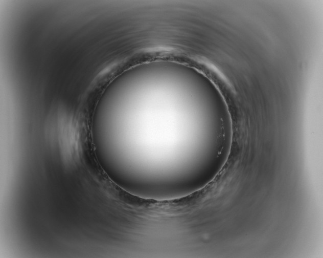 X0000099560967200805231509