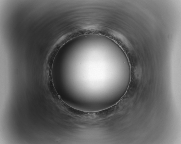 X0000099560968200805231509