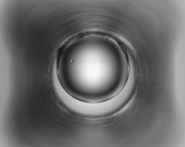 X0000099560969200805231509