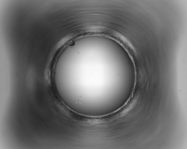 X0000099560970200805231509