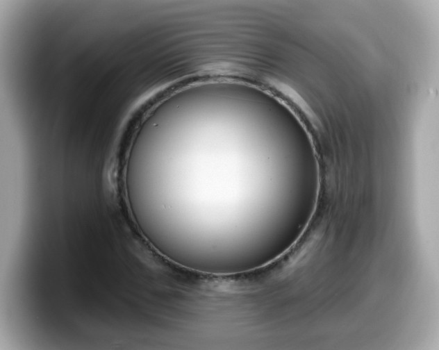 X0000099560971200805231509