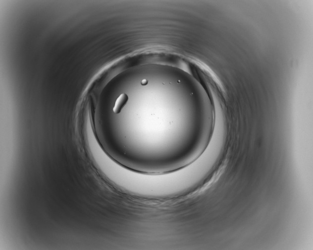 X0000099560973200805231509