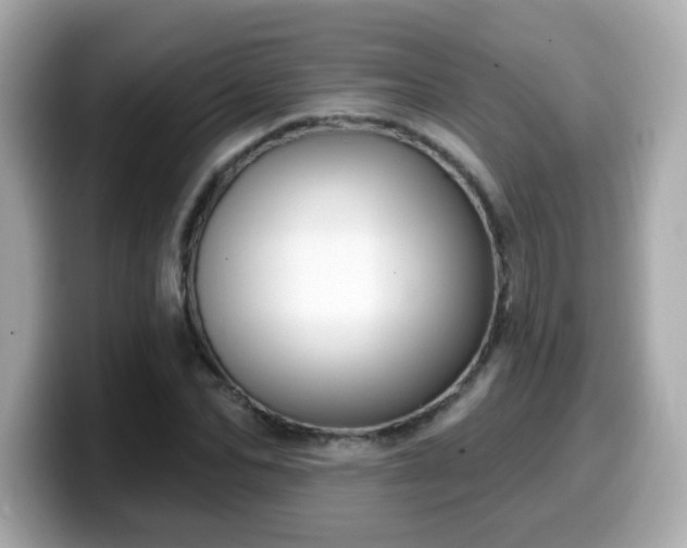 X0000099560974200805231509