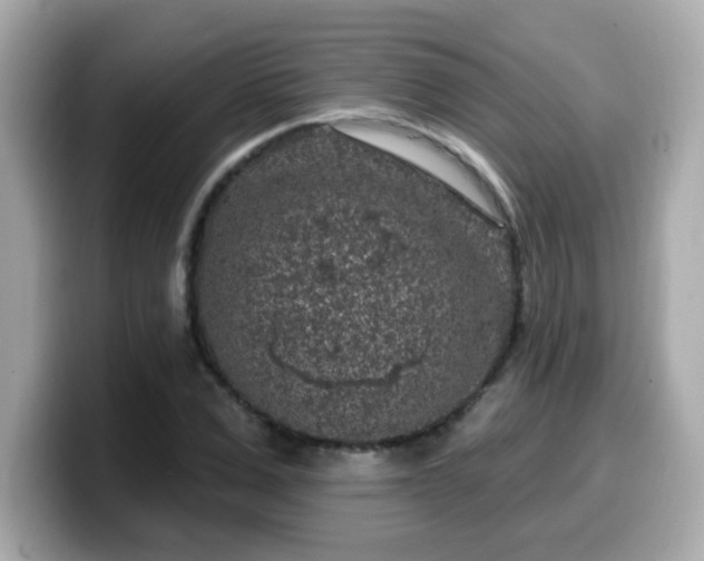 X0000099560975200805231509