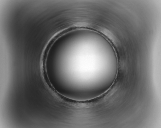 X0000099560976200805231509