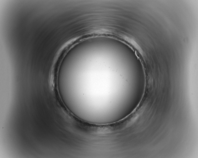 X0000099560979200805231509