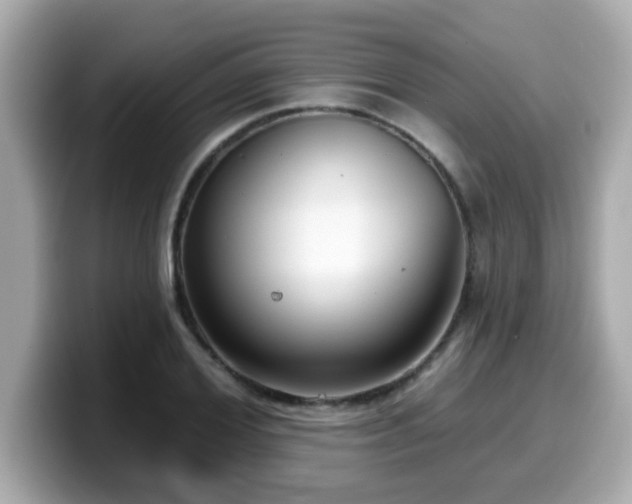 X0000099560980200805231509