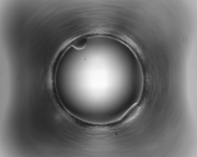 X0000099560981200805231509