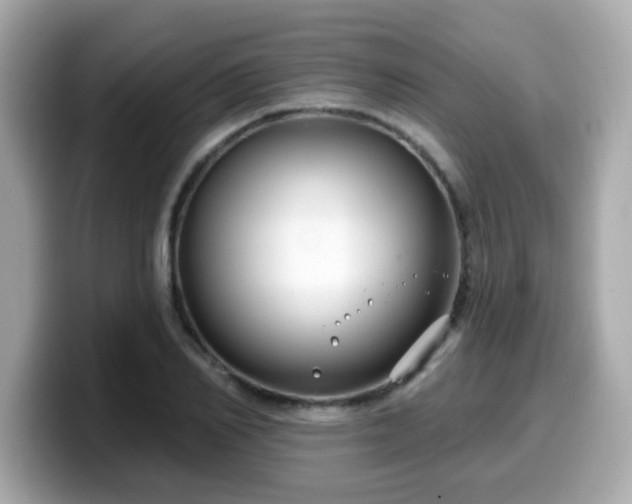 X0000099560982200805231509