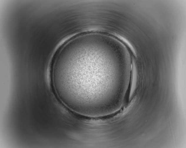 X0000099560983200805231509