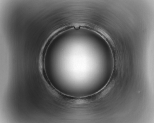 X0000099560984200805231509