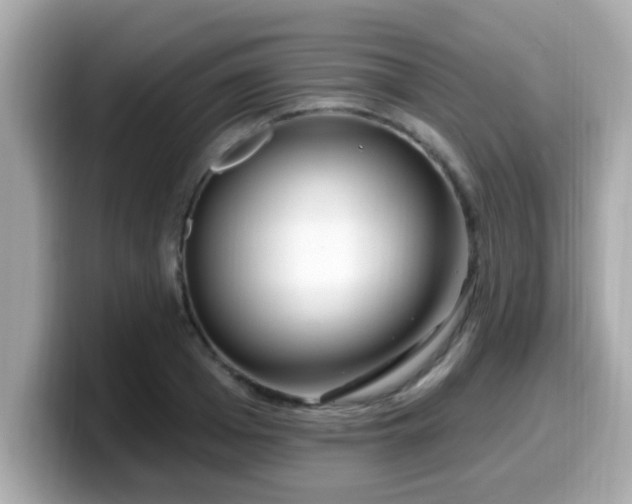 X0000099560985200805231509