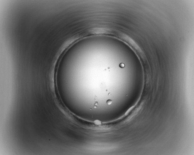 X0000099560986200805231509