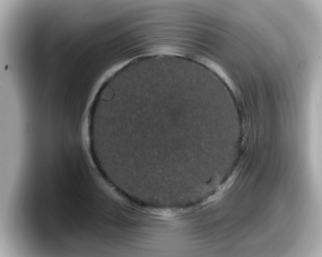 X0000099560987200805231509