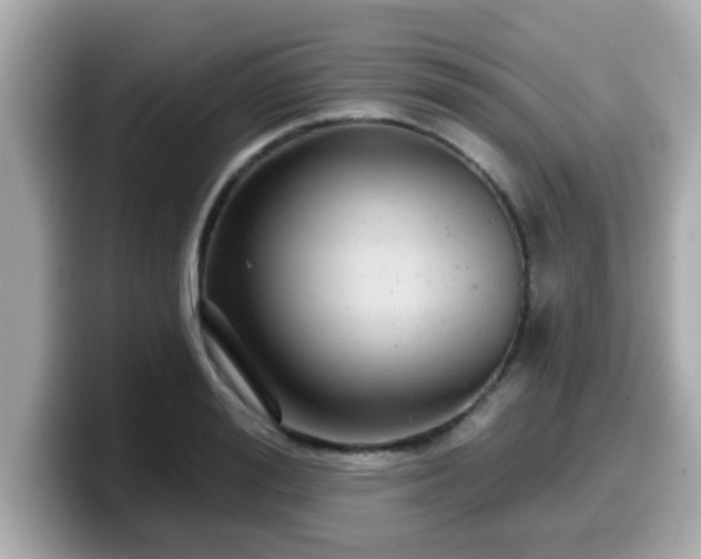 X0000099560988200805231509