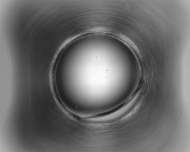 X0000099560989200805231509