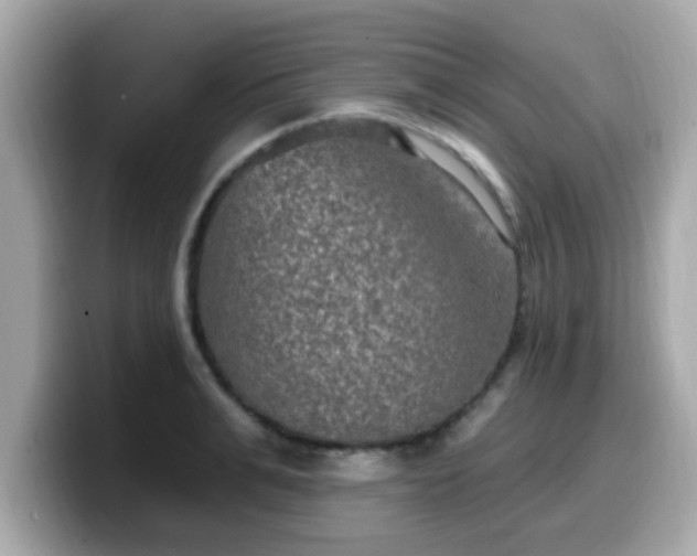 X0000099560991200805231509