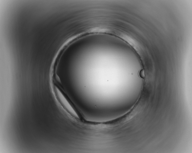 X0000099560992200805231509