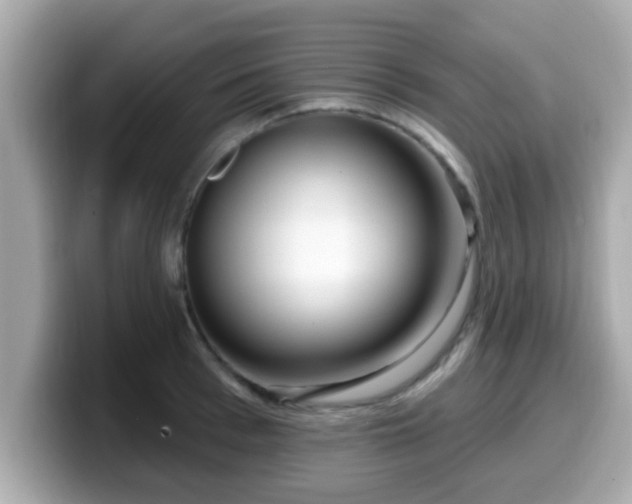 X0000099560993200805231509