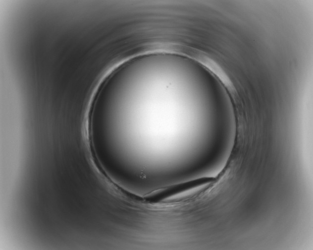 X0000099560996200805231509