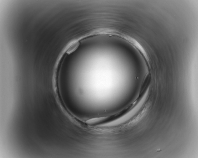 X0000099560997200805231509