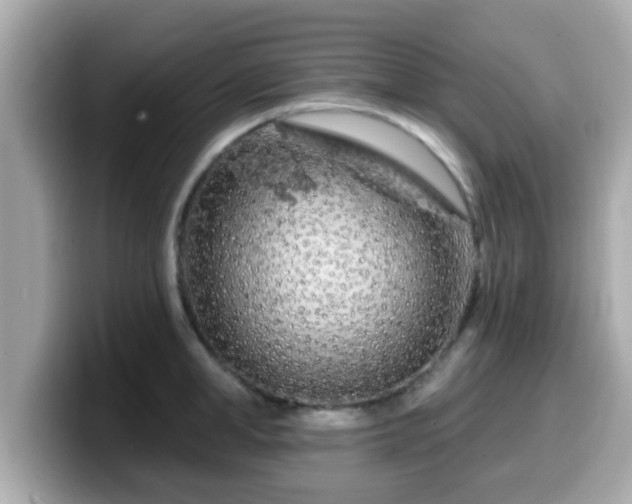 X0000099560998200805231508