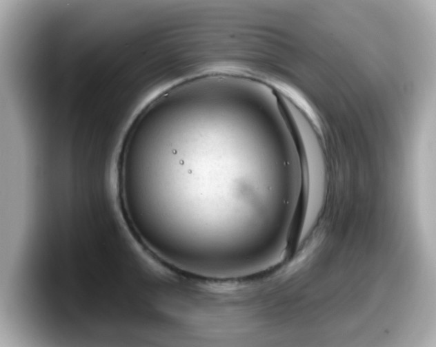 X0000099560999200805231508