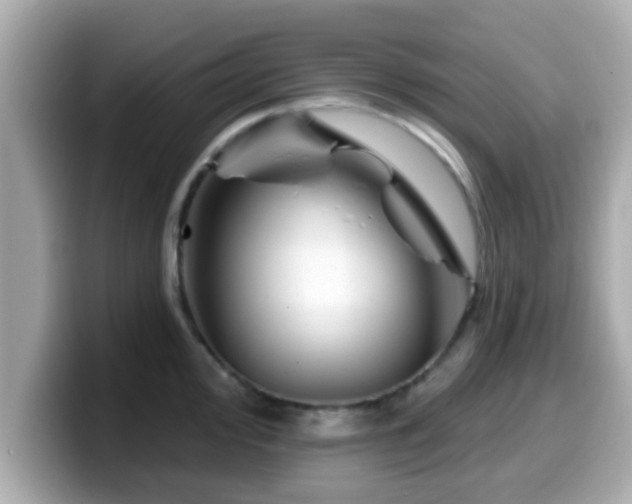 X0000099561000200805231508