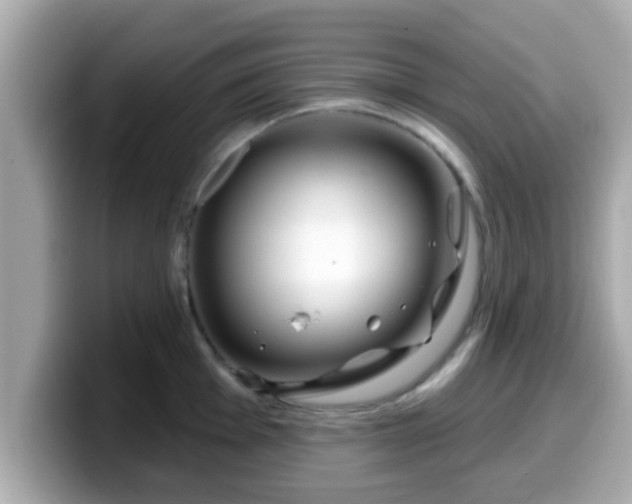 X0000099561001200805231508