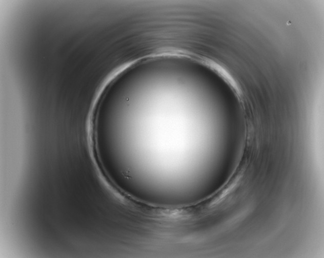 X0000099561003200805231508