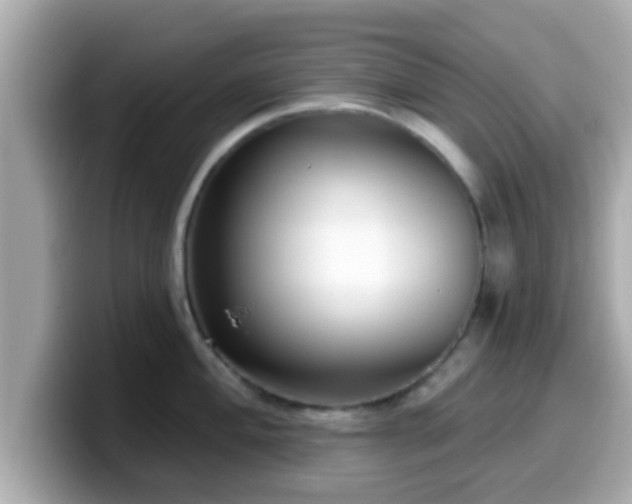 X0000099561004200805231508