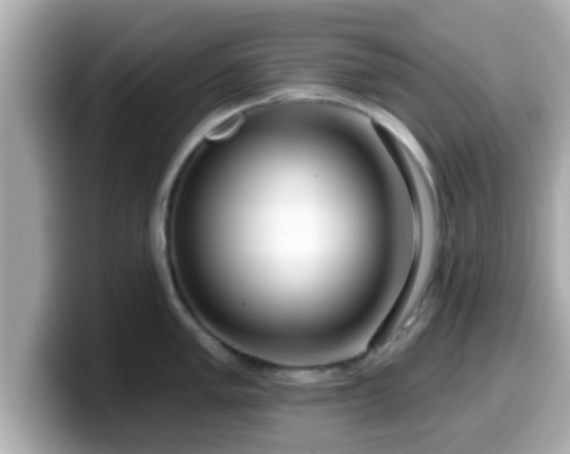 X0000099561005200805231508