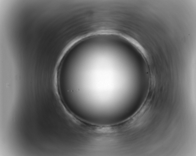 X0000099561006200805231508