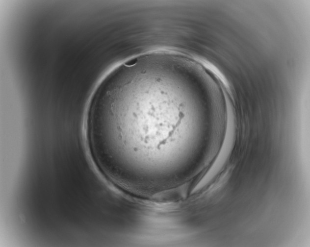 X0000099561007200805231508