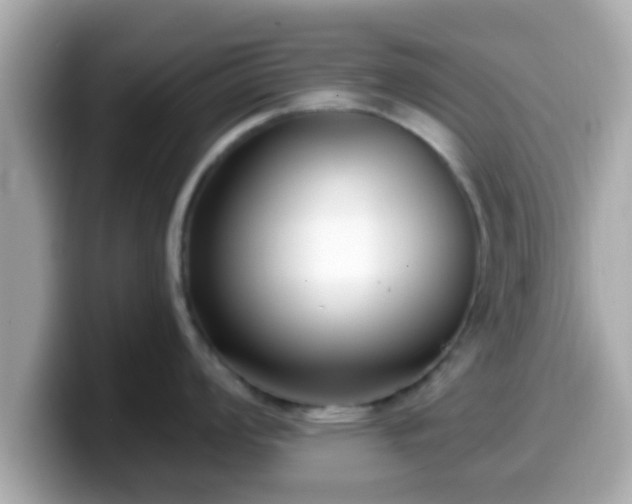 X0000099561008200805231508