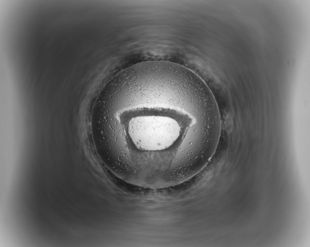 X0000099561009200805231508