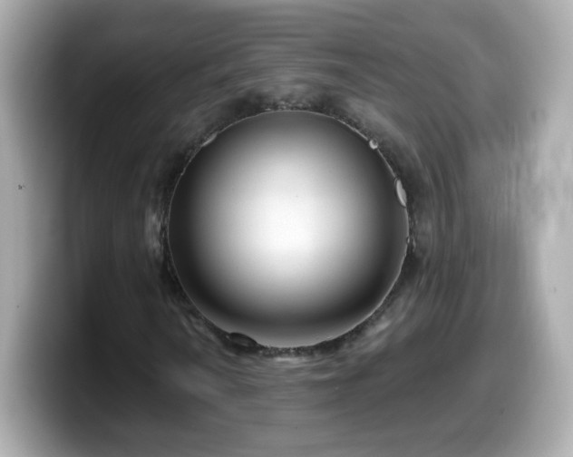 X0000099561010200805231508