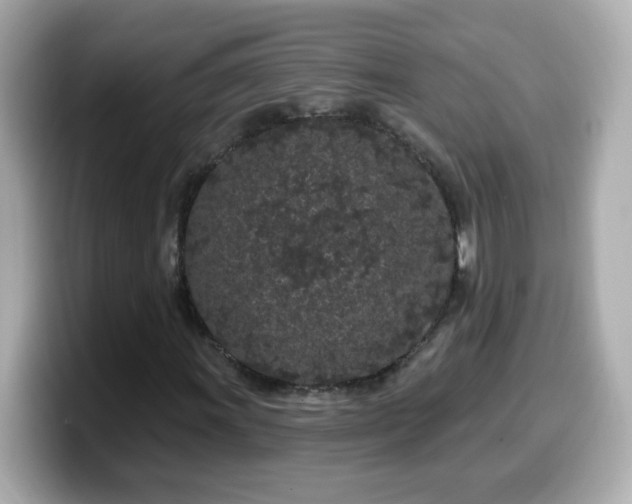 X0000099561011200805231508