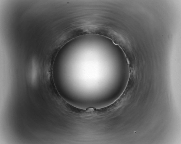 X0000099561012200805231508