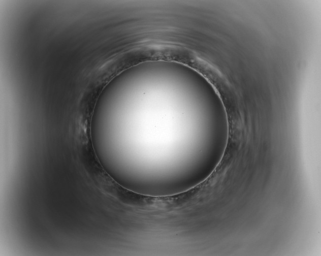 X0000099561013200805231508