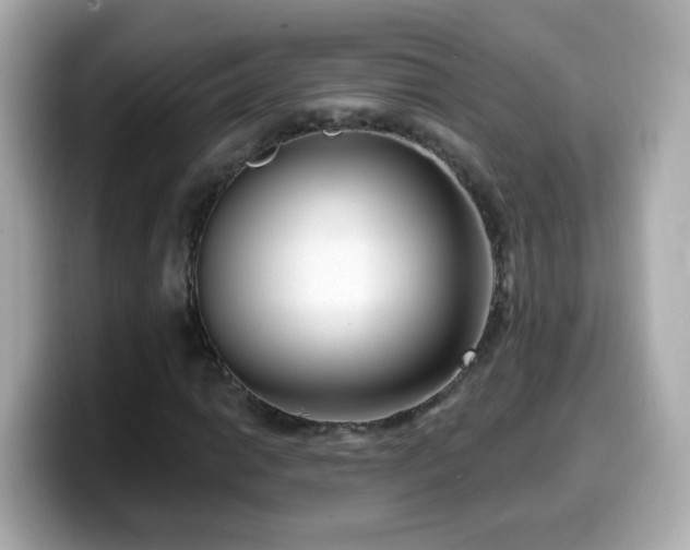 X0000099561014200805231508