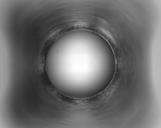 X0000099561015200805231508