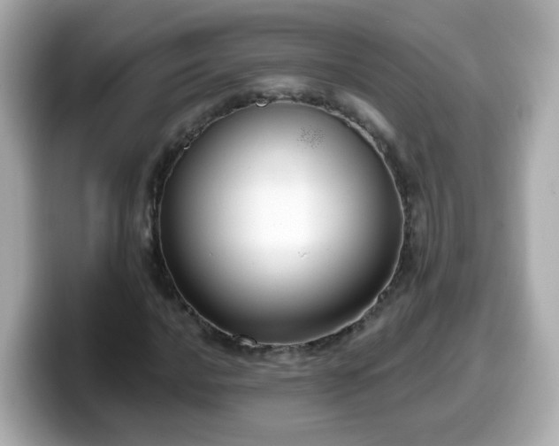 X0000099561016200805231508