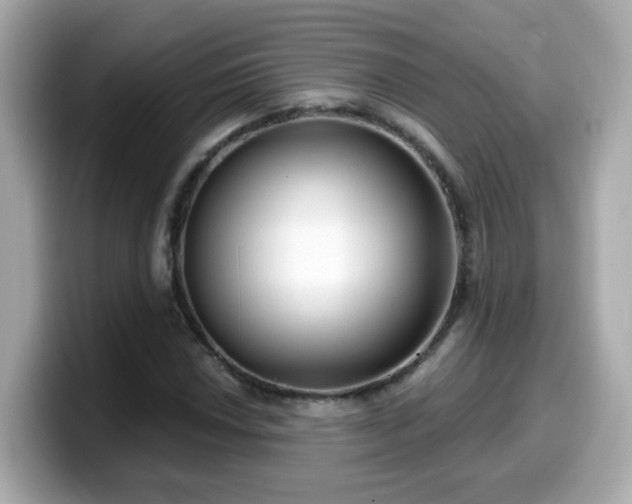 X0000099561018200805231508